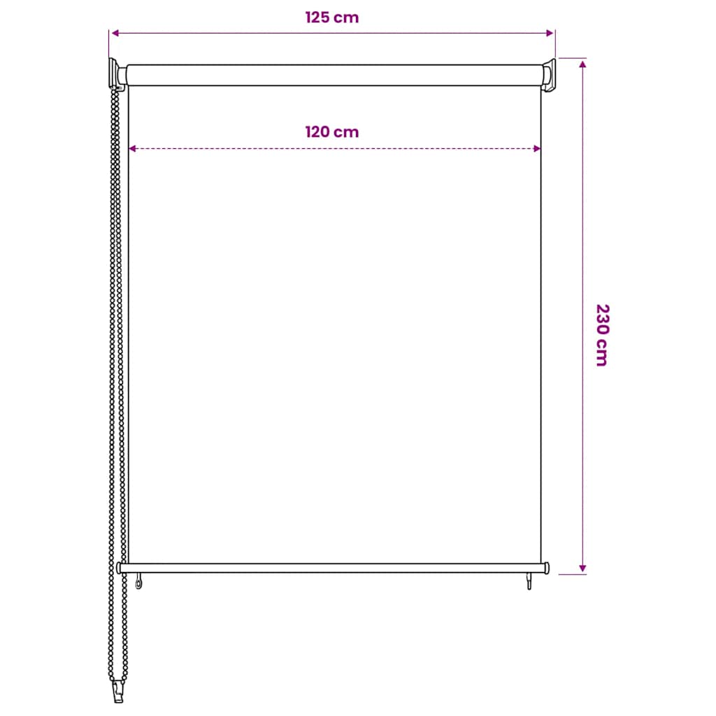 vidaXL Outdoor Roller Blind 125(W)x230(H) cm Anthracite