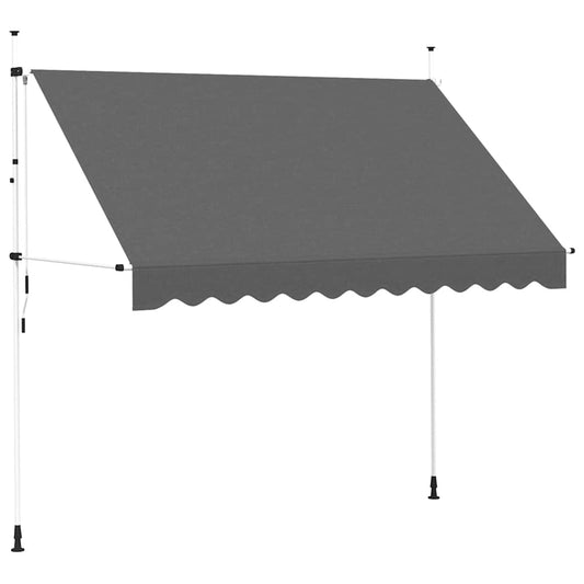 143690 vidaXL Manual Retractable Awning 300 cm Anthracite