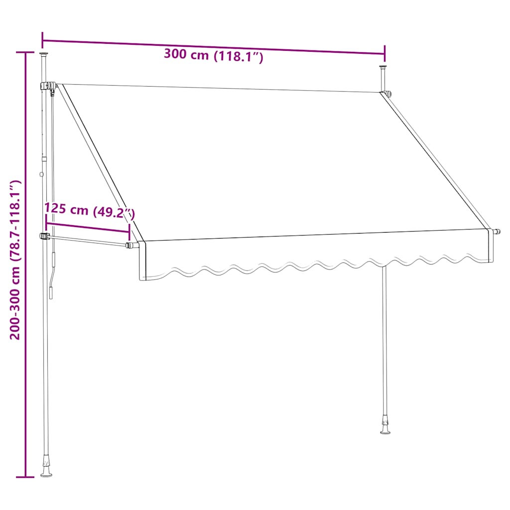 vidaXL Manual Retractable Awning 300 cm Anthracite