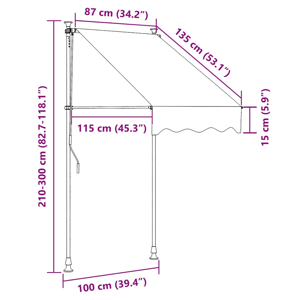 vidaXL Manual Retractable Awning with LED 100 cm Anthracite