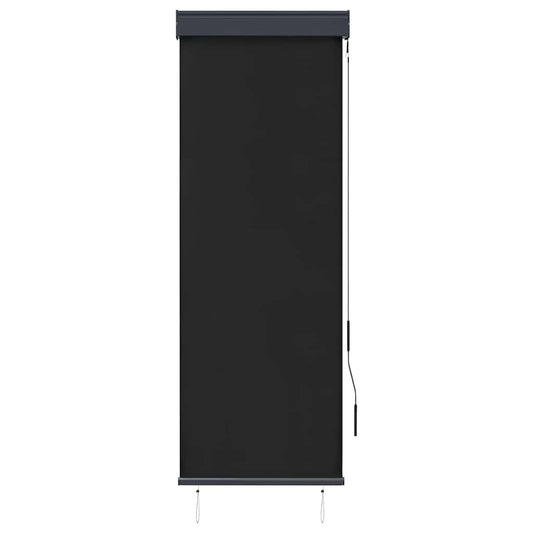 145946 vidaXL Outdoor Roller Blind 60x250 cm Anthracite