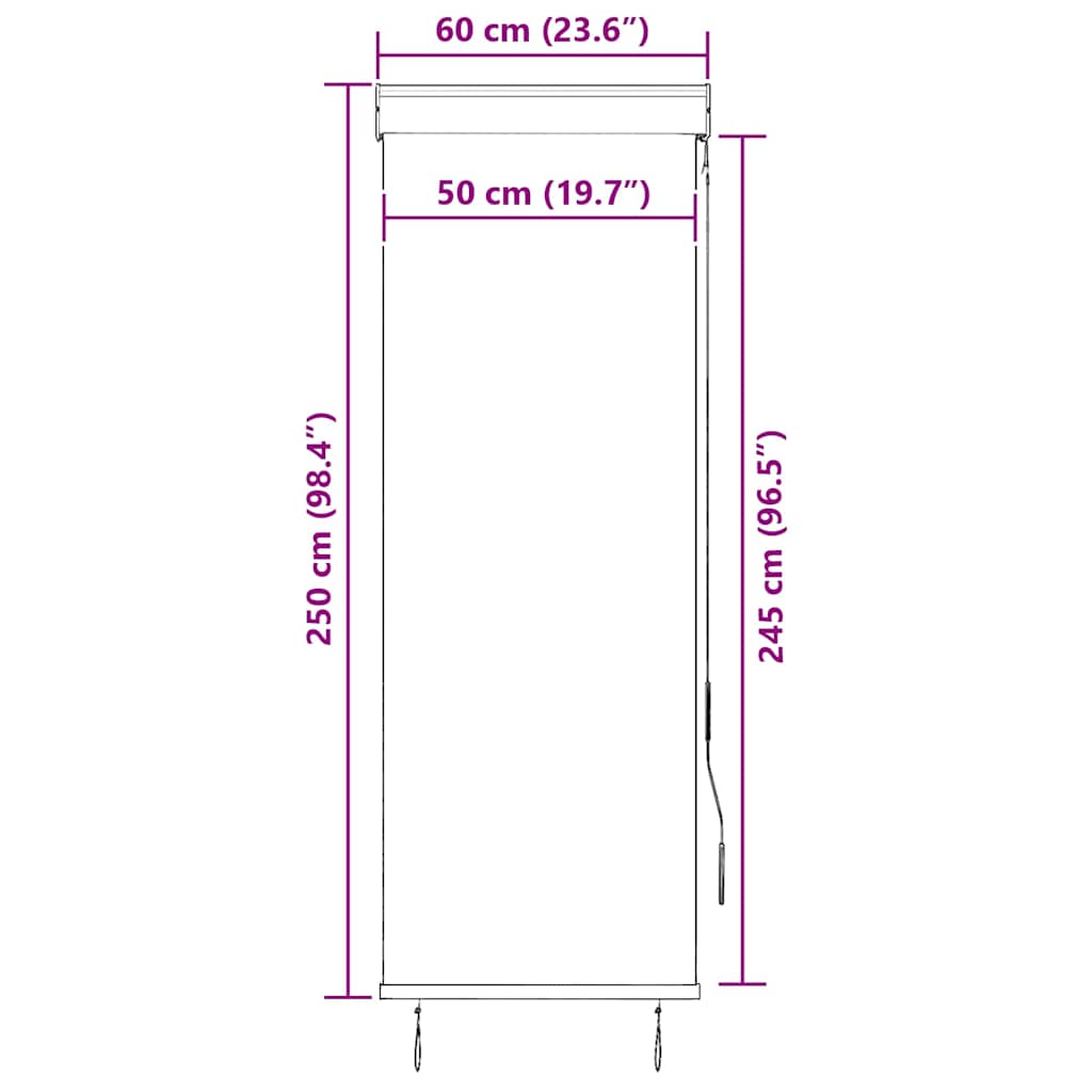 145946 vidaXL Outdoor Roller Blind 60x250 cm Anthracite