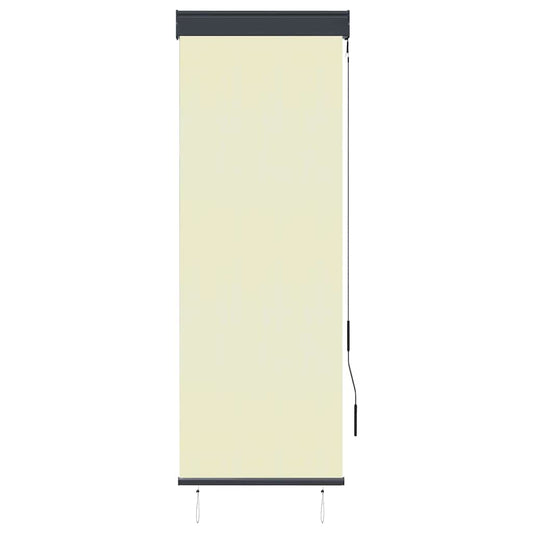 145947 vidaXL Outdoor Roller Blind 60x250 cm Cream