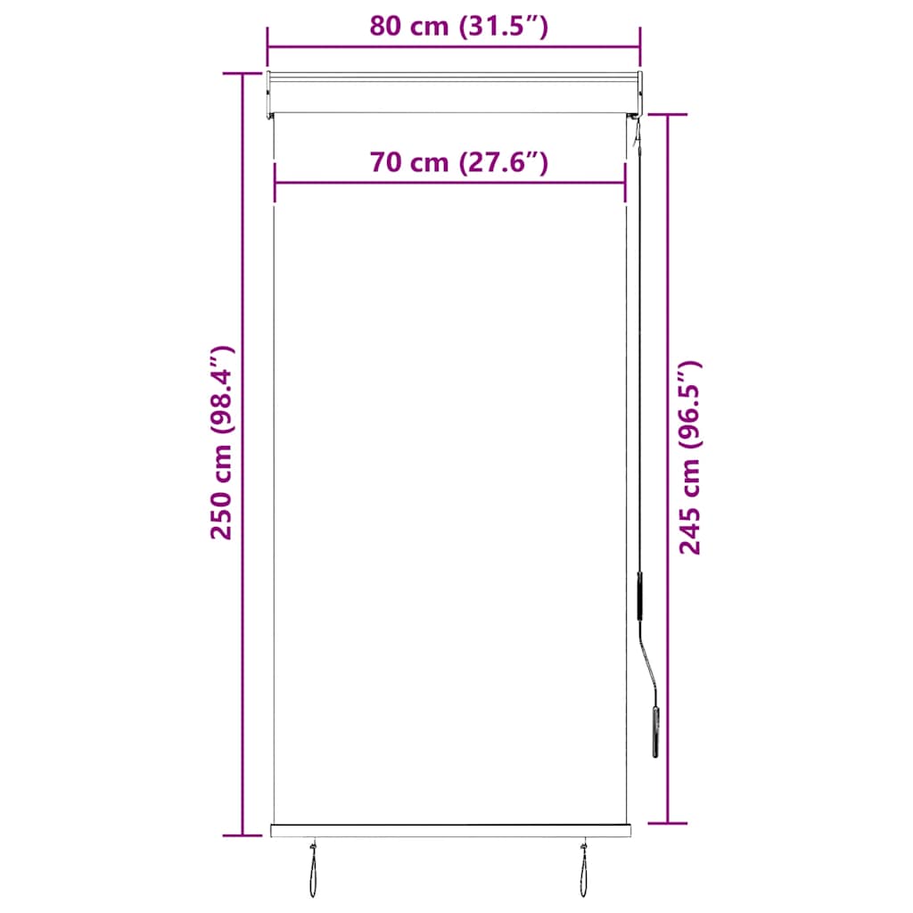 vidaXL Outdoor Roller Blind 80x250 cm Cream