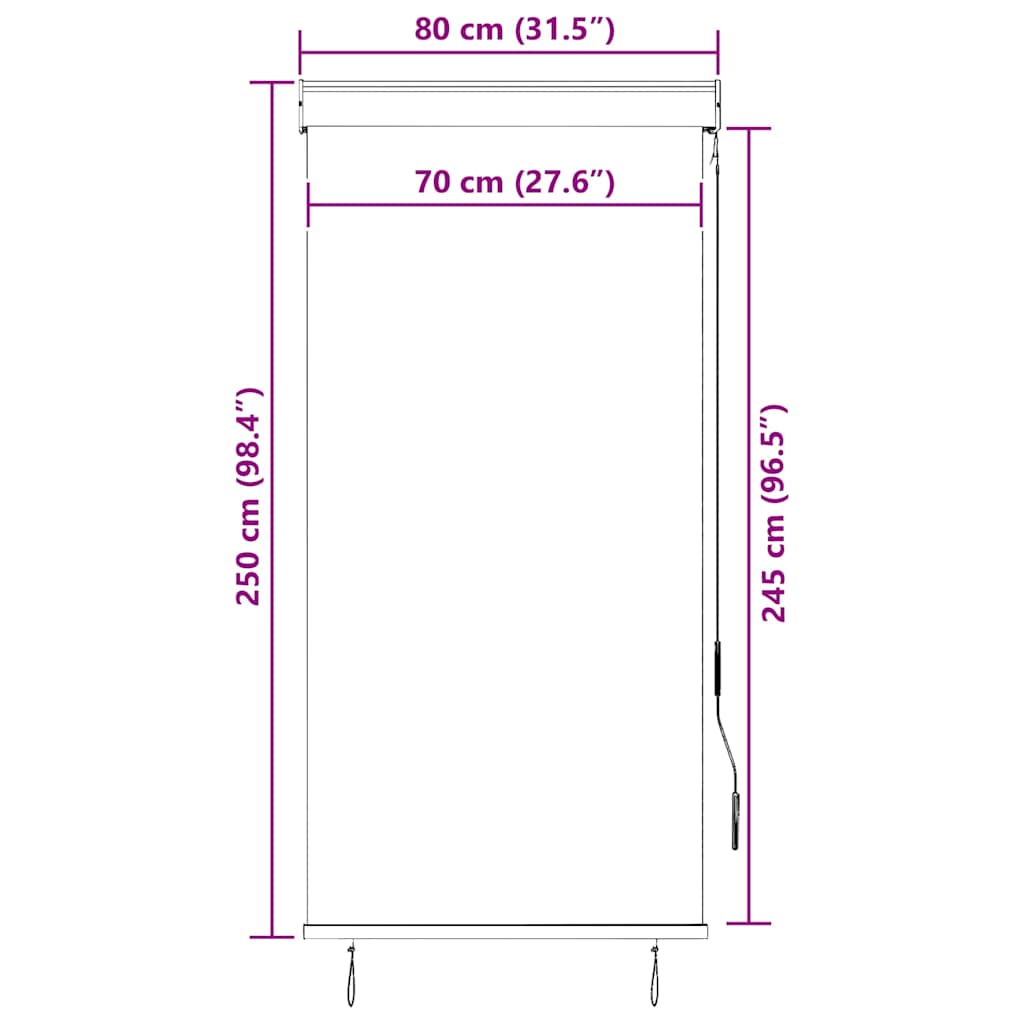 145953 vidaXL Outdoor Roller Blind 80x250 cm Cream
