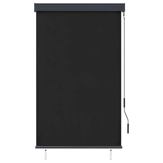 145958 vidaXL Outdoor Roller Blind 100x250 cm Anthracite