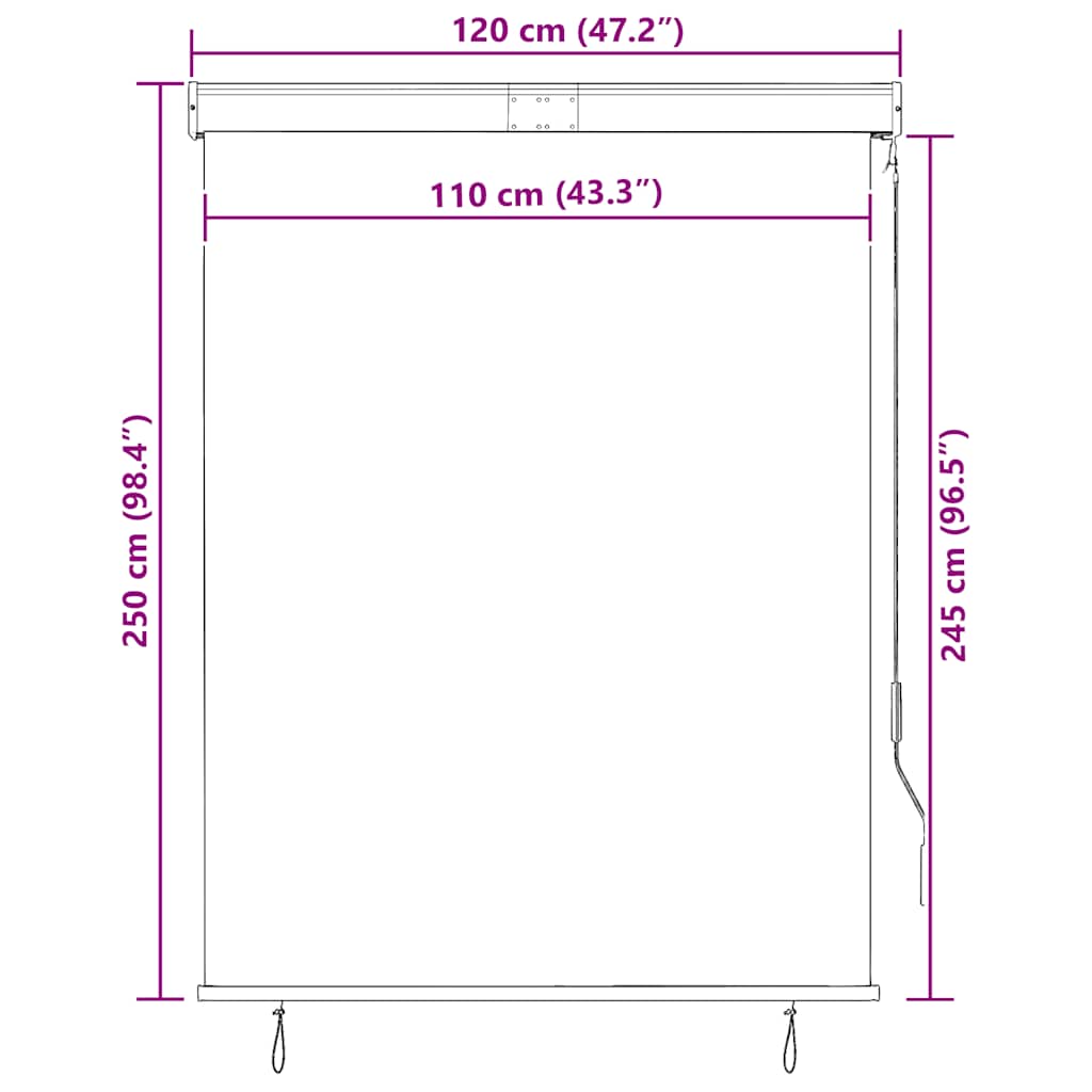 vidaXL Outdoor Roller Blind 120x250 cm Anthracite