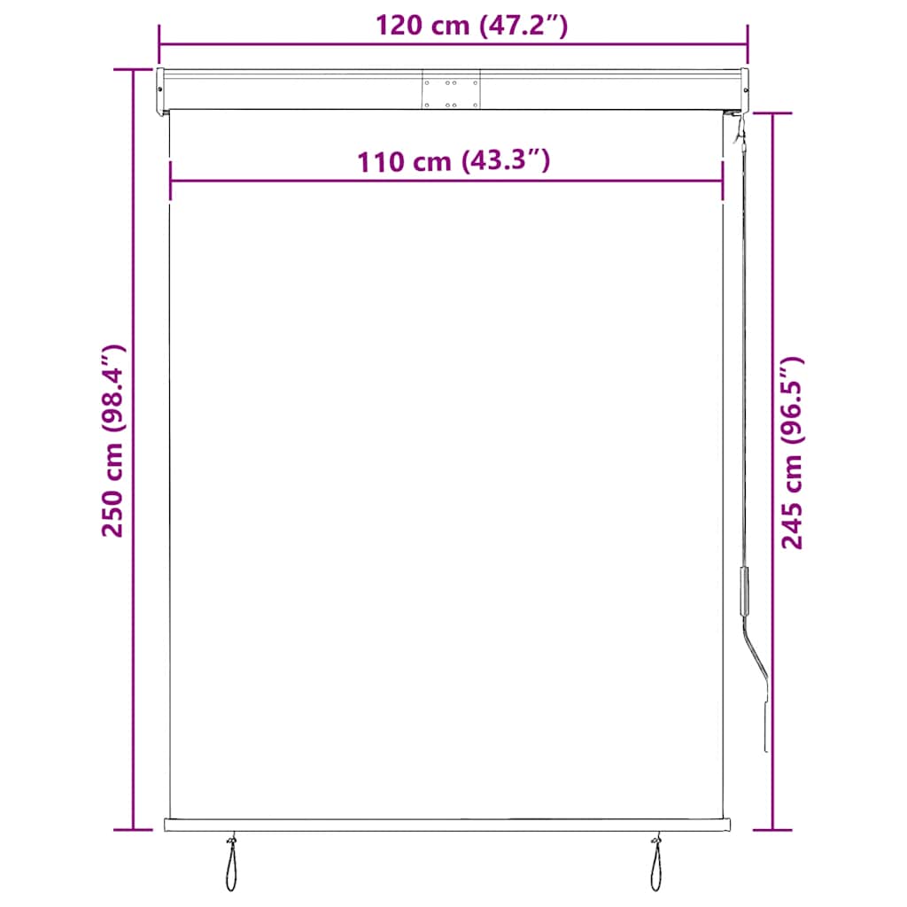 vidaXL Outdoor Roller Blind 120x250 cm Cream