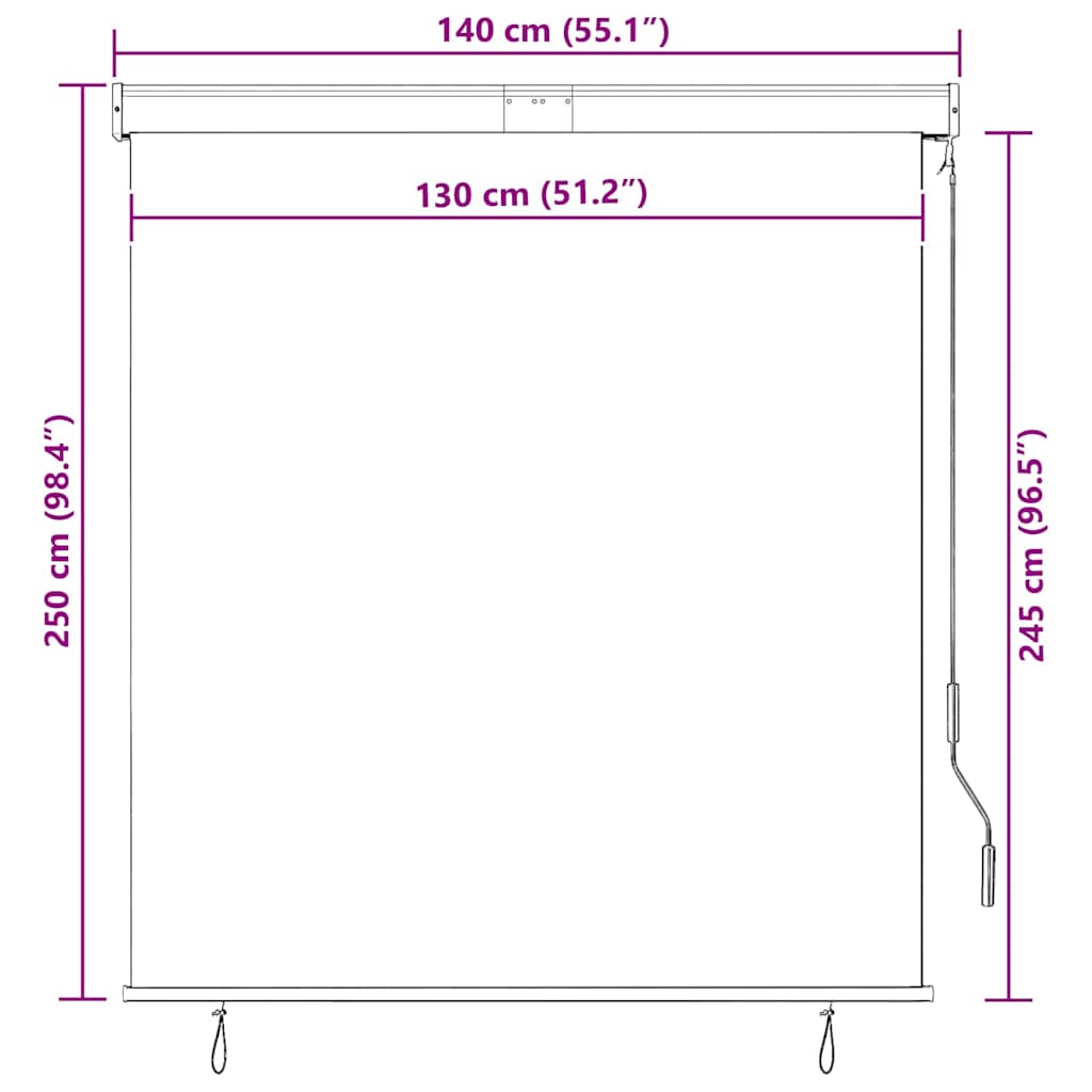 145971 vidaXL Outdoor Roller Blind 140x250 cm Cream