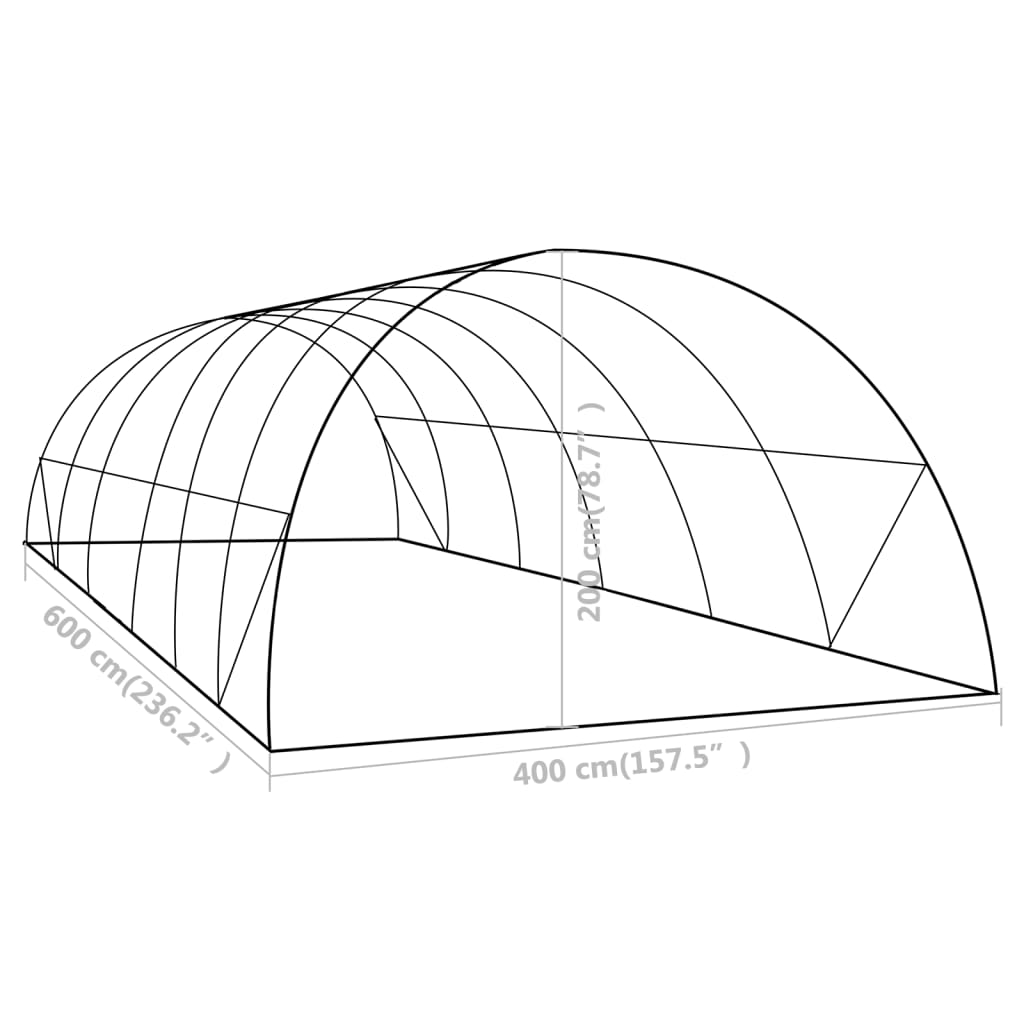 48161 vidaXL Greenhouse 24 m² 6x4x2 m