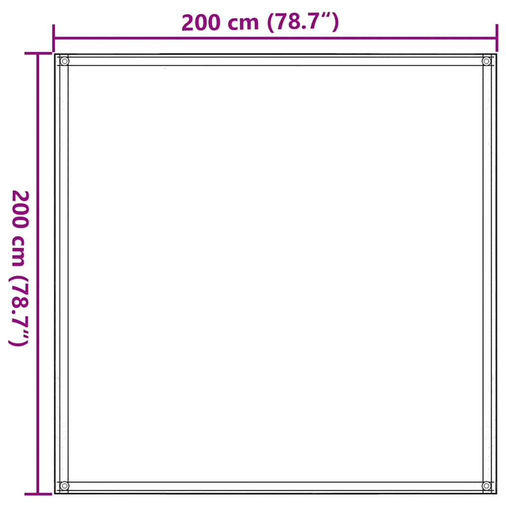 310676 vidaXL Tent Carpet 200x200 cm Anthracite