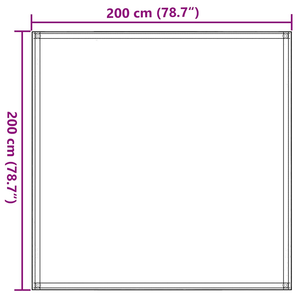 vidaXL Tent Carpet 200x200 cm Anthracite and White