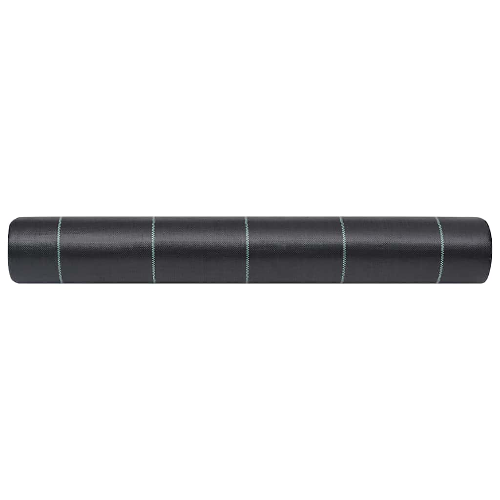 313064 vidaXL Weed & Root Control Mat Black 2x5 m PP