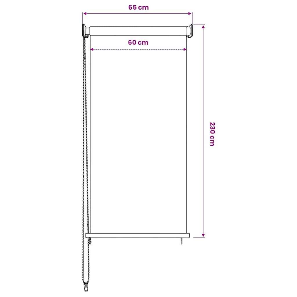 vidaXL Outdoor Roller Blind 65(W)x230(H) cm Beige