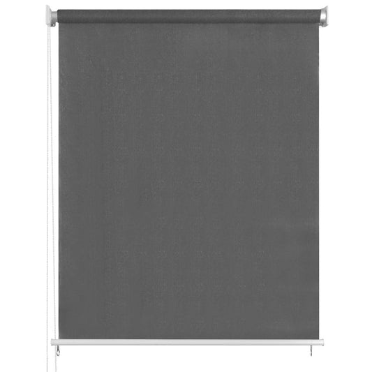 vidaXL Outdoor Roller Blind 65(W)x230(H) cm Anthracite