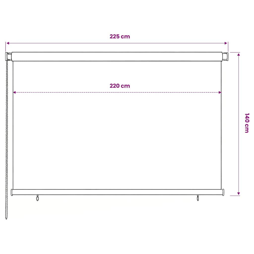 312817 vidaXL Outdoor Roller Blind 220x140 cm Dark Green HDPE