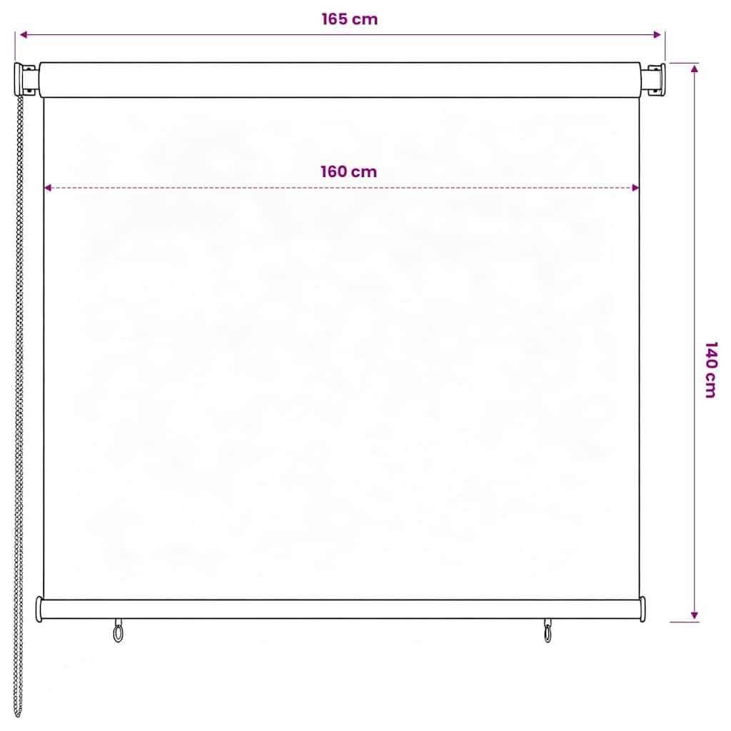 vidaXL Outdoor Roller Blind 165(W)x140(H) cm Blue HDPE