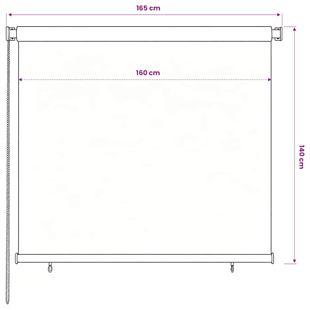 vidaXL Outdoor Roller Blind 165(W)x140(H) cm Black