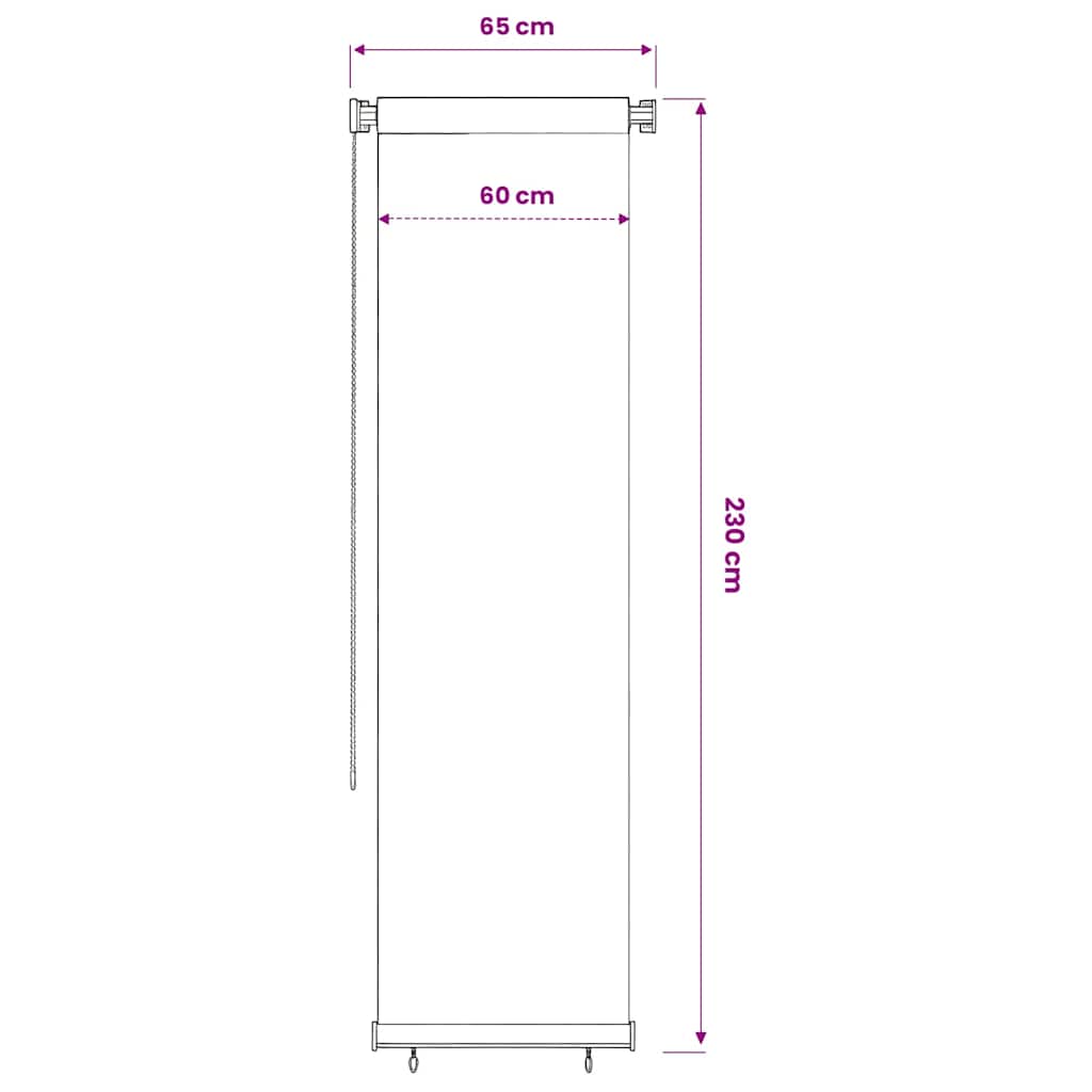 vidaXL Outdoor Roller Blind 65(W)x230(H) cm Black HDPE