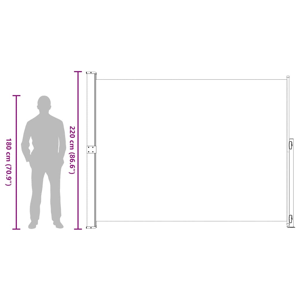 vidaXL Patio Retractable Side Awning 220x314 cm Grey