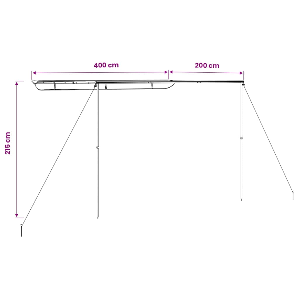 vidaXL Camper & Caravan Awning 4x2x2.15 m Beige