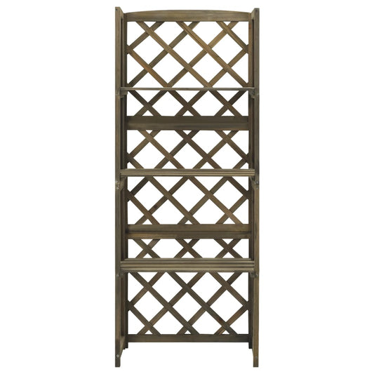 vidaXL Trellis with Shelves Grey 55x30x140 cm Solid Fir Wood