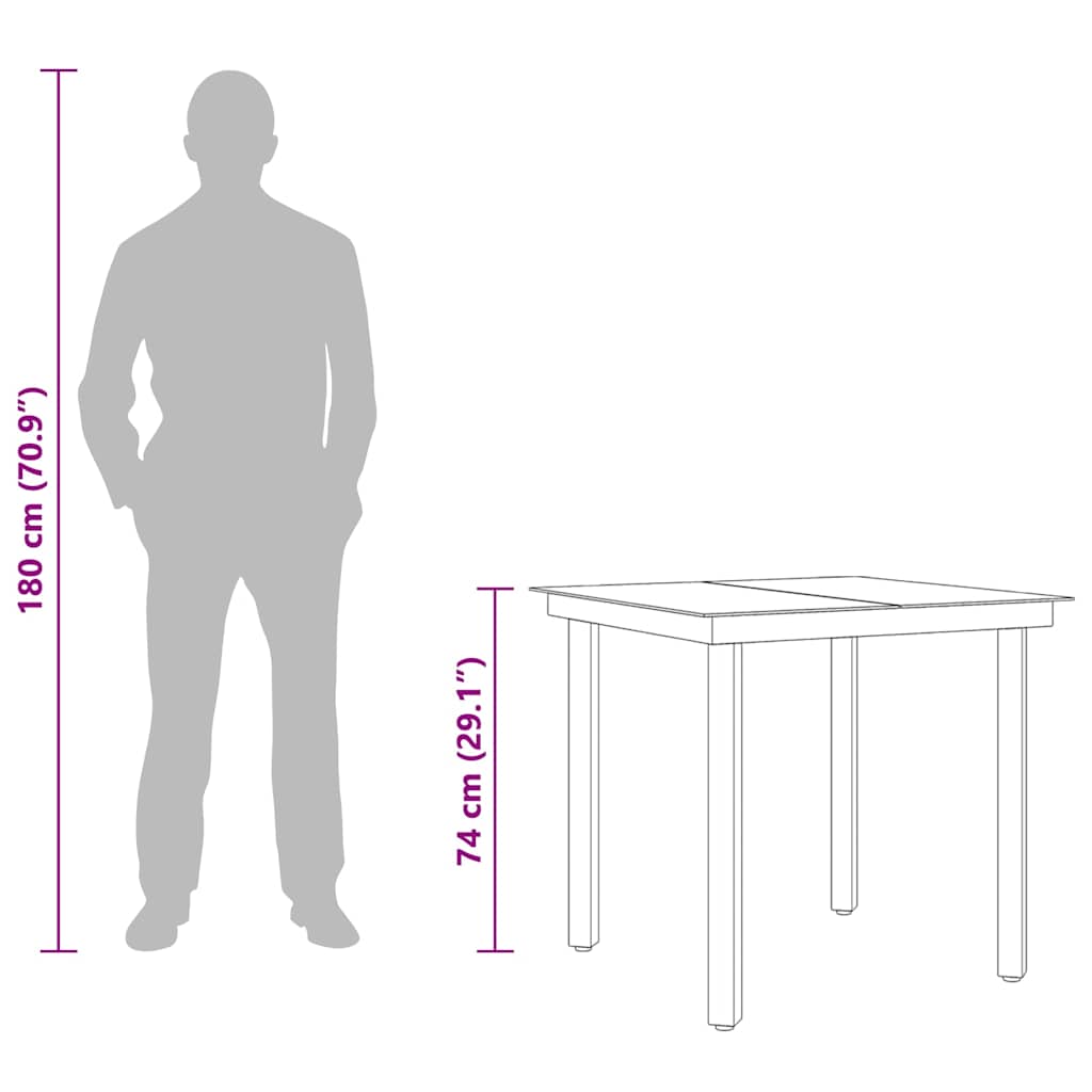 vidaXL Garden Dining Table Black 80x80x74 cm Steel and Glass