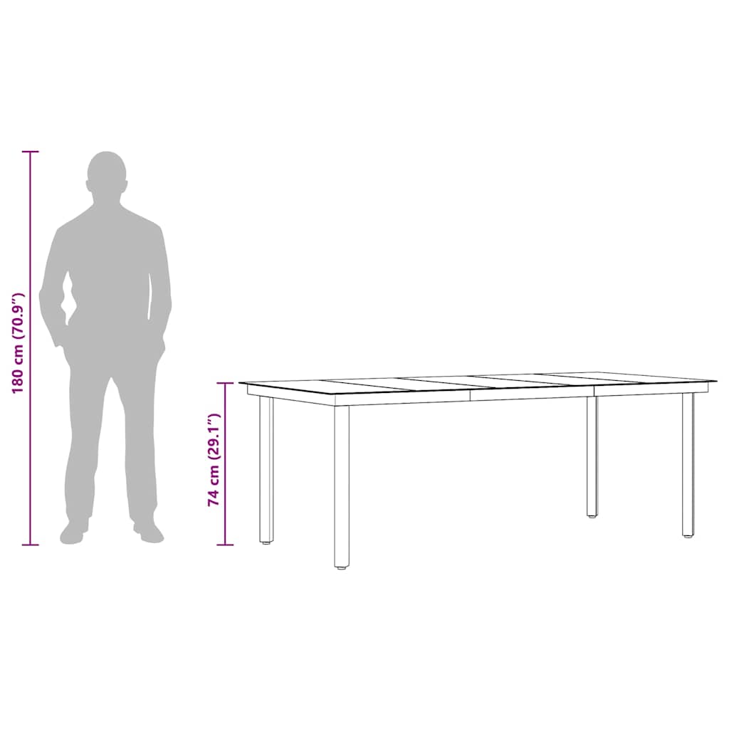 vidaXL Garden Dining Table Black 200x100x74 cm Steel and Glass