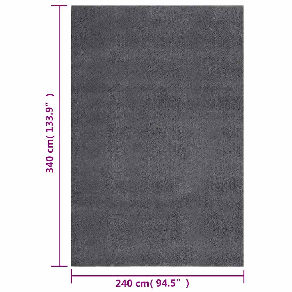 vidaXL Shaggy Rug Anthracite 240x340 cm Polyester