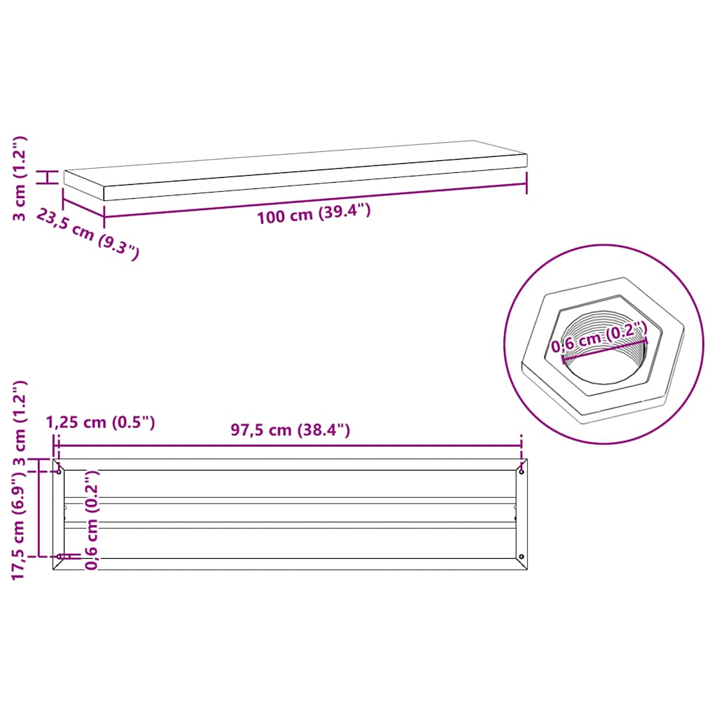 vidaXL Wall Shelves 2 pcs 100x23.5 cm Silver Stainless Steel