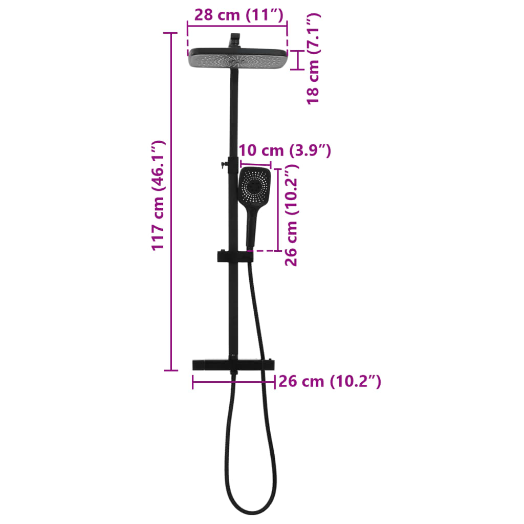 vidaXL Dual Head Shower Set with Mixer and Hose Black Brass