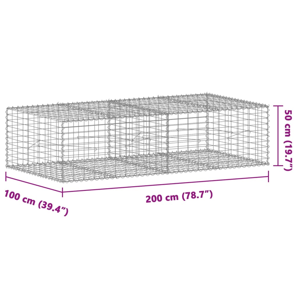 vidaXL Gabion Basket with Cover 200x100x50 cm Galvanised Iron