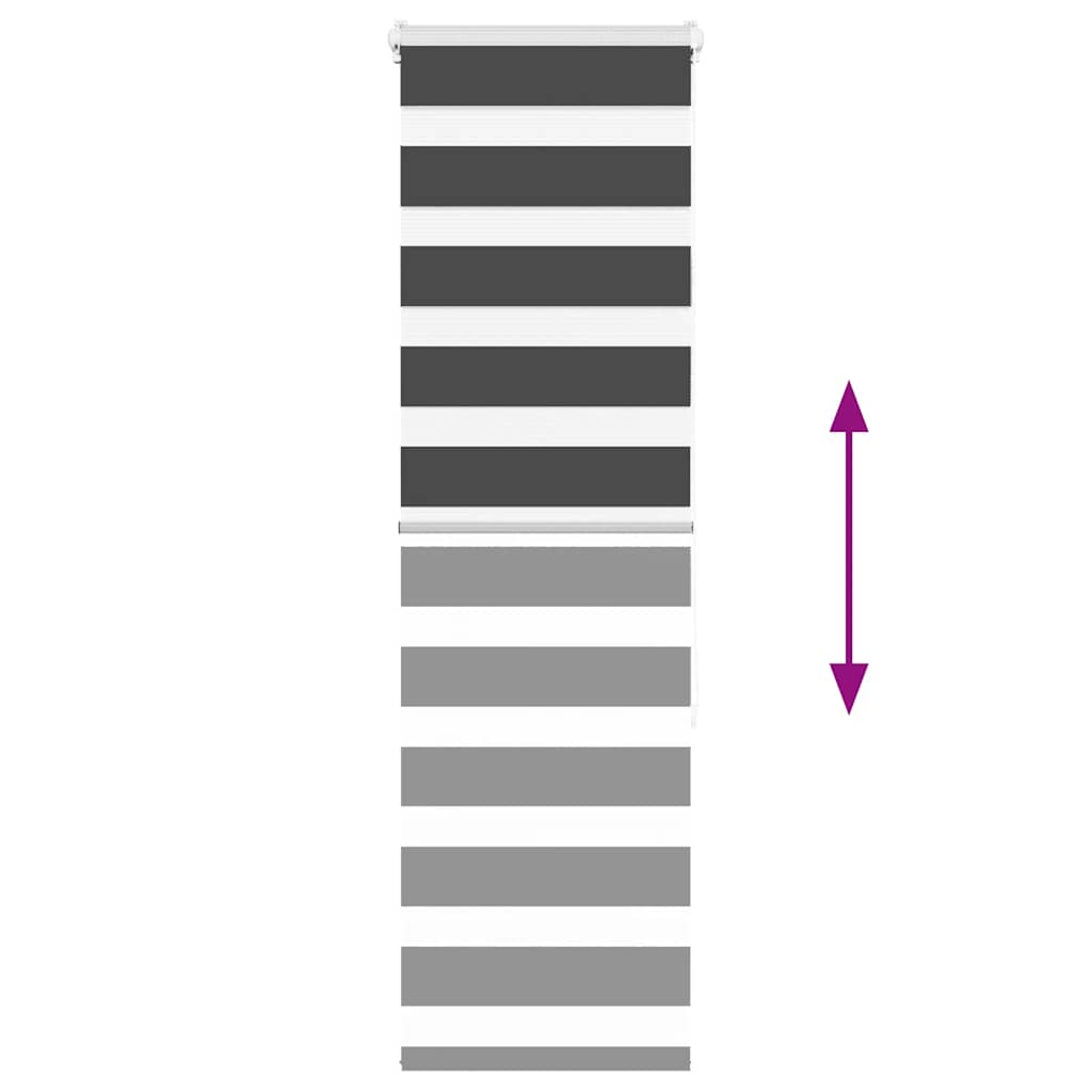vidaXL Zebra Blind Black 50x150 cm Fabric Width 45,9 cm Polyester