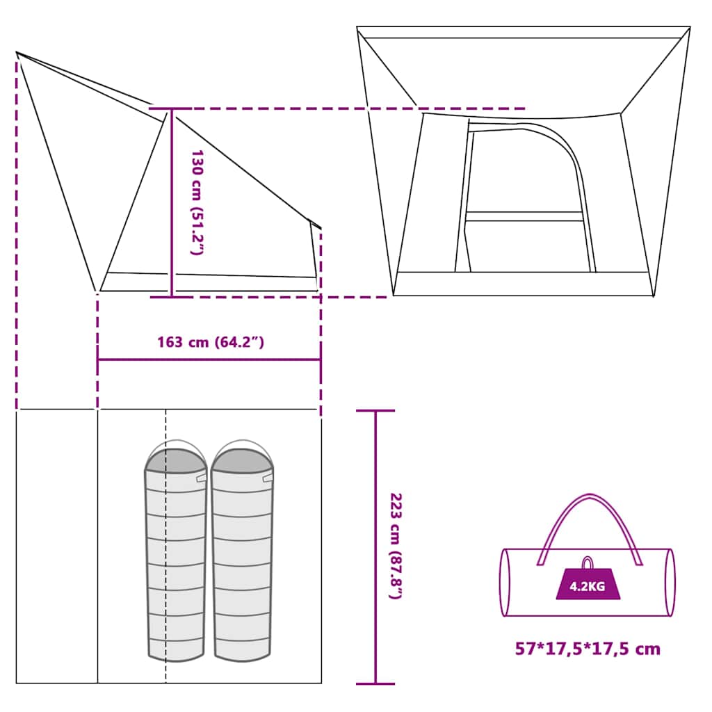 vidaXL Camping Tent with Roof Green 223 x 163 x 130 cm Taffeta
