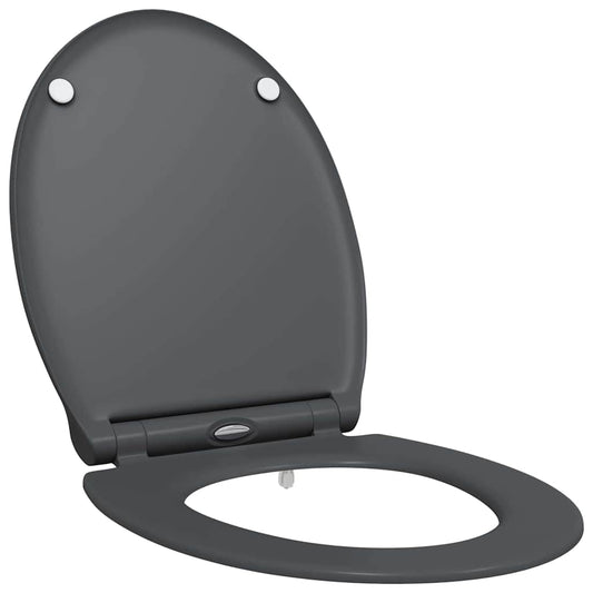 vidaXL Quick Release Toilet suitable for Seat Anthracite