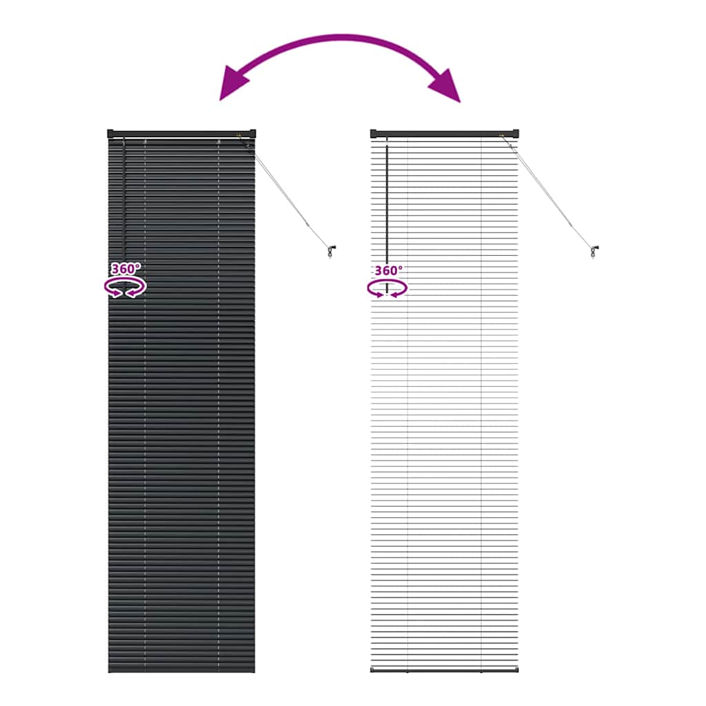 vidaXL Venetian Blinds Black 220 x 65 cm Aluminium