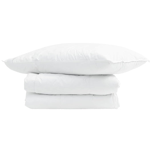 vidaXL Summer Duvet with Pillow 2 pcs White Down Feather