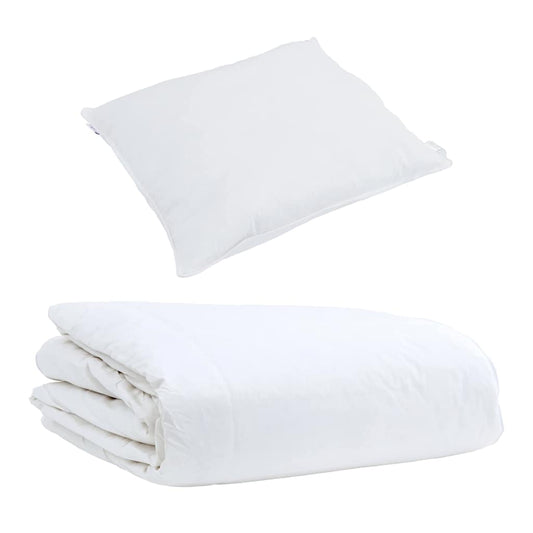 vidaXL Summer Duvet with Pillow 2 pcs White Down Feather