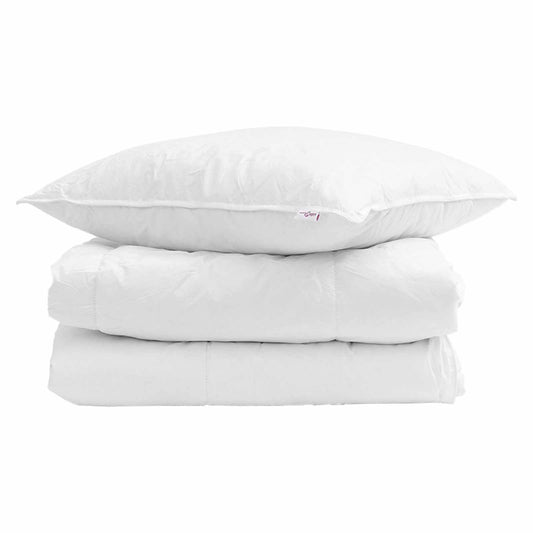 vidaXL Winter Duvet with Pillow 2 pcs White Down Feather