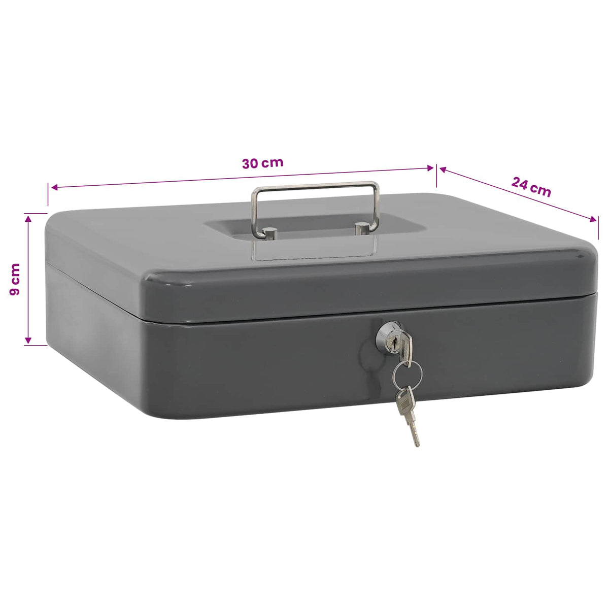 vidaXL Cash Box with Lock Dark grey 30 x 24 x 9 cm Steel