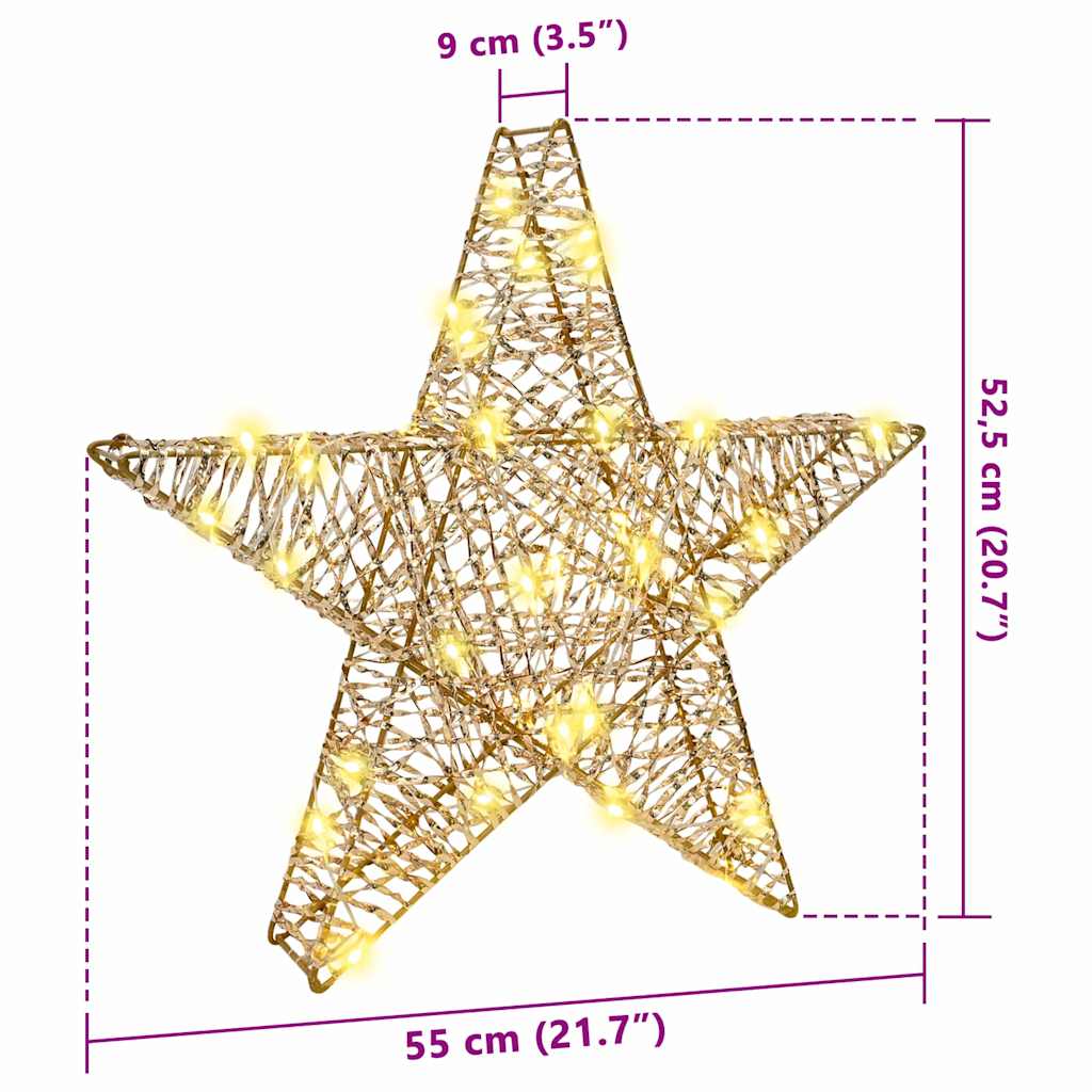 vidaXL 3D Star 50 LEDs Warm white 55 x 52.5 x 9 cm PET