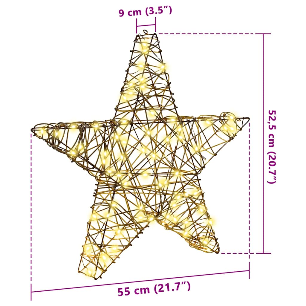 vidaXL 3D Star 50 LEDs Warm white 55 x 52.5 x 9 cm Rattan