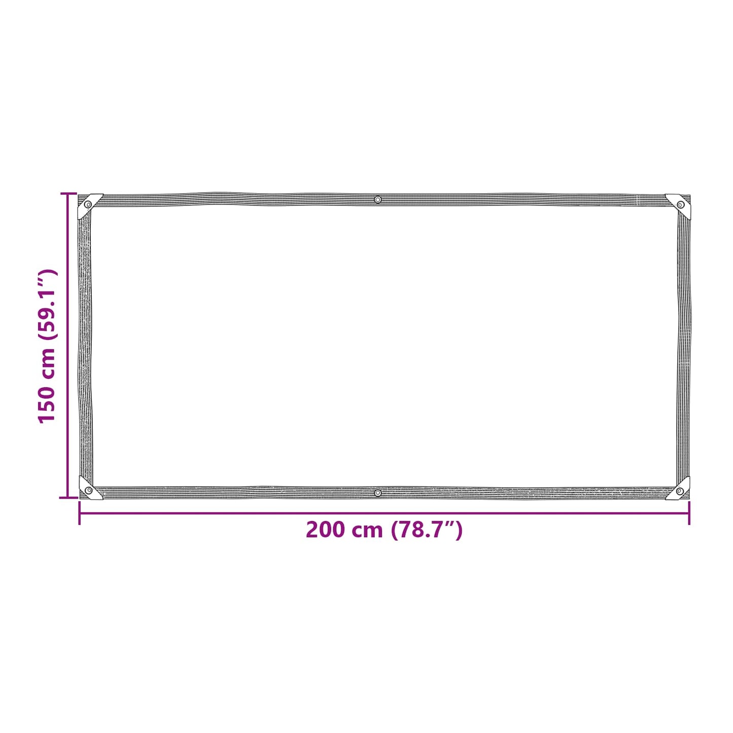 vidaXL Plant Cover Transparent 2 x 1.5 m PE