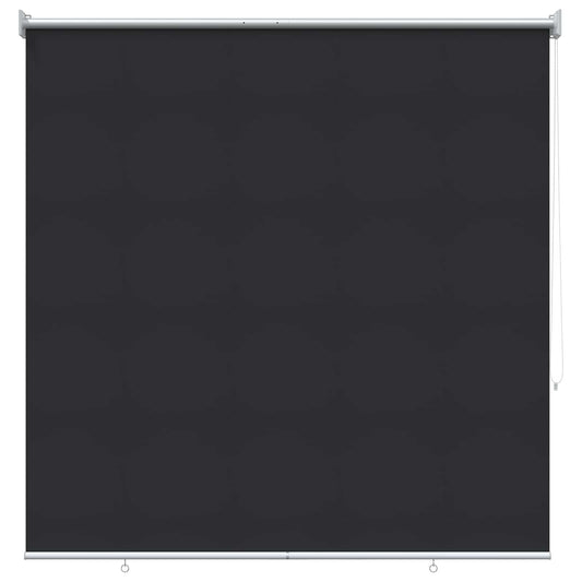vidaXL Outdoor Roller Blind UV Protection Anthracite