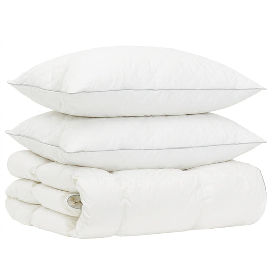 vidaXL 90% Goose Down Duvet Set FULDA 3 pcs 135 x 220 cm Winter White