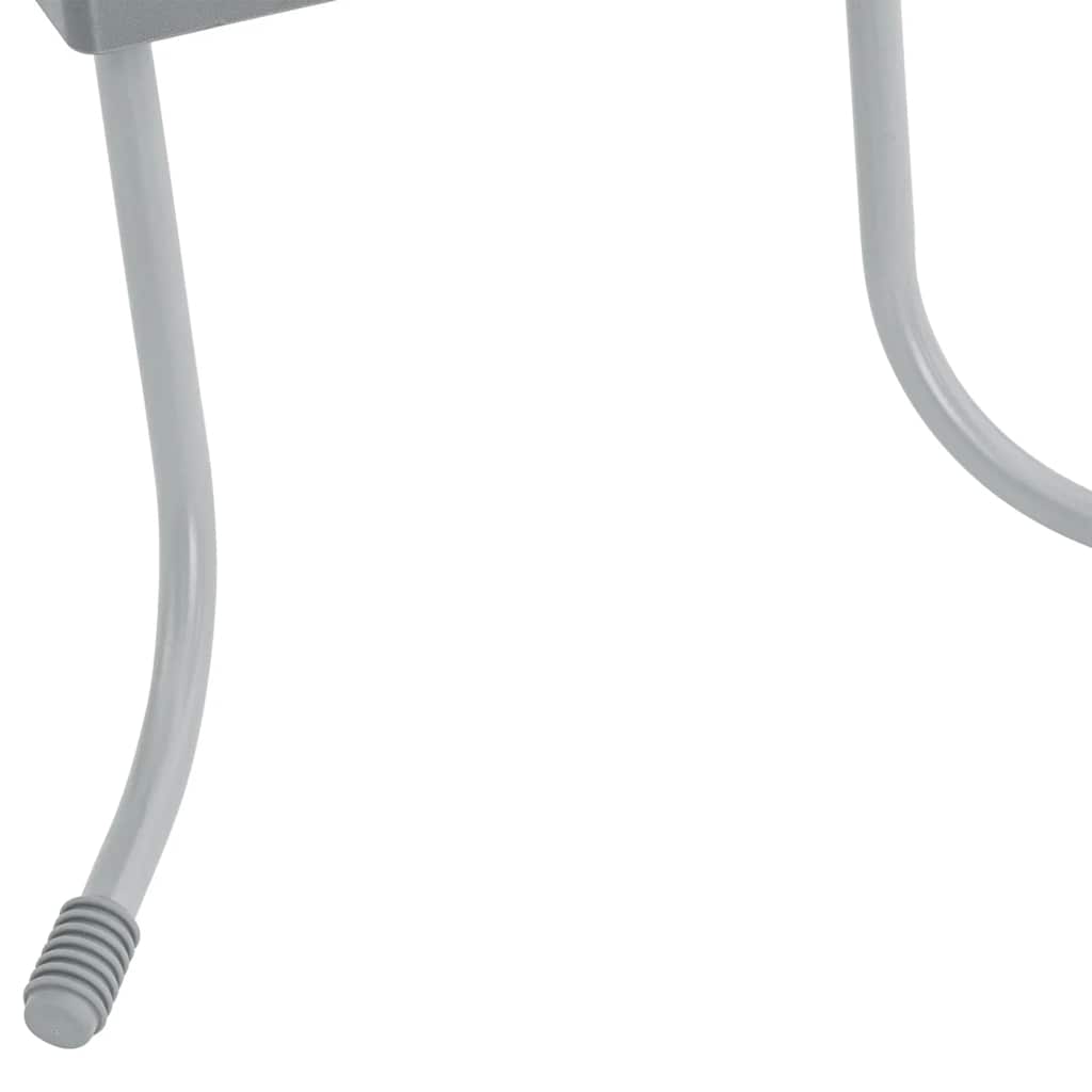Bestway 2-Step Pool Ladder Flowclear 84 cm