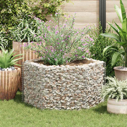 142532 vidaXL Hexagonal Gabion Raised Bed 100x90x50 cm