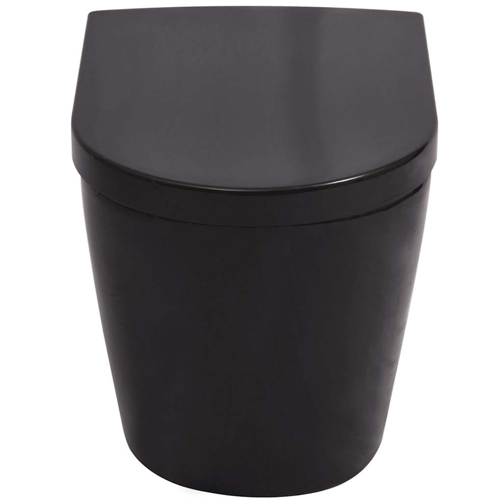 vidaXL Wall Hung Toilet with Concealed Cistern Ceramic Black