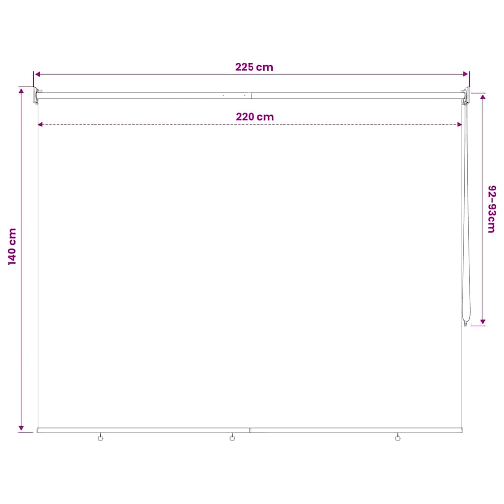 43422 vidaXL Outdoor Roller Blind 220x140 cm Beige