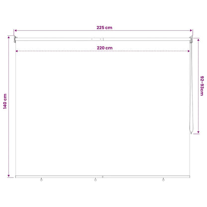 43422 vidaXL Outdoor Roller Blind 220x140 cm Beige